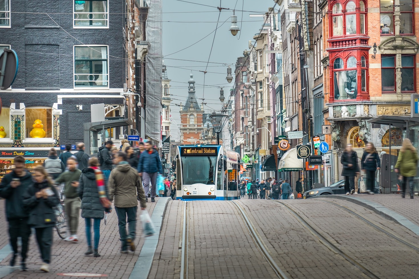 The Role of Policy in Shaping Demographics